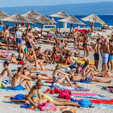 Apartament With Wifi - 12843