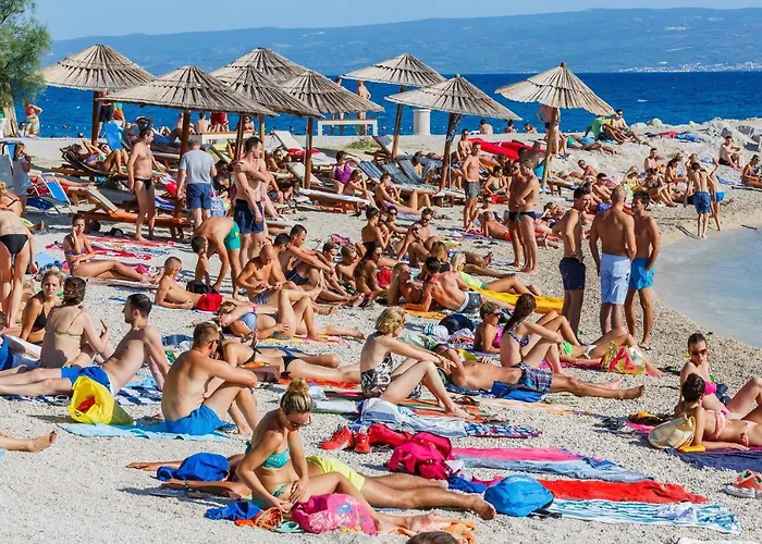 Apartament With Wifi - 12843